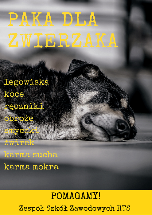 Paka dla zwierzaka