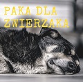 Paka dla zwierzaka