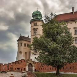 Śladami polskich królów – wycieczka klasy 2 TB
