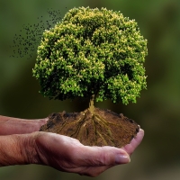 6. Krakowska Akademia Klimatu