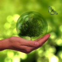 Turniej Wiedzy Be.Eco!